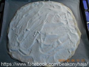 fazis_2016-02-07_56b734684b99c