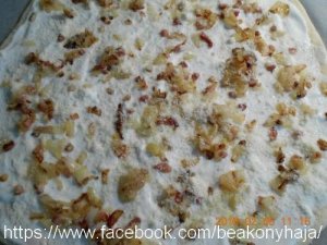 fazis_2016-02-07_56b73524aad1a