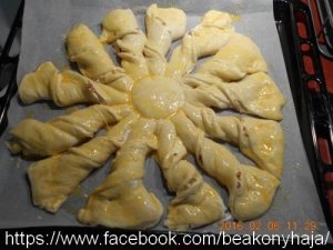 fazis_2016-02-07_56b737de78659