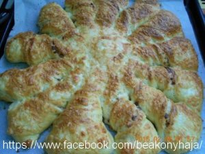 fazis_2016-02-07_56b7387c8a5e8